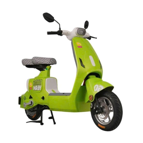 Xe đạp điện TAILG GR55