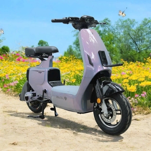 AVA VK1