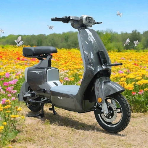 AVA VK1