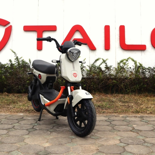 TAILG GX30