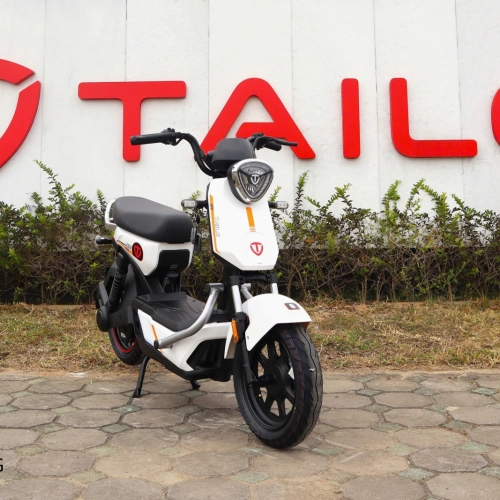 TAILG GX30