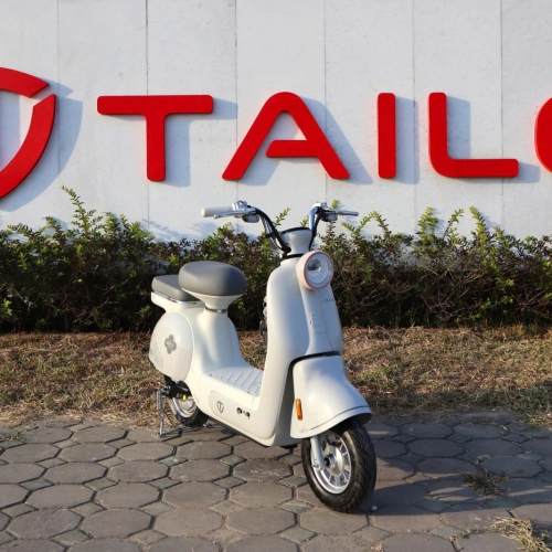 Xe đạp điện TAILG JS50