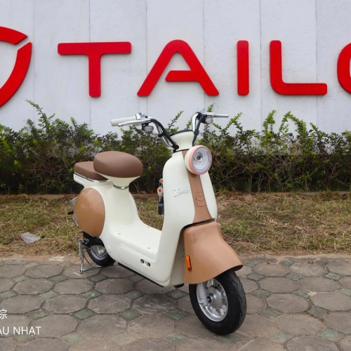 Xe đạp điện TAILG JS50