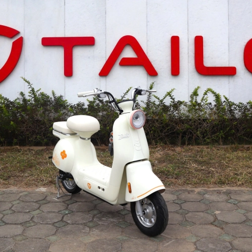 Xe đạp điện TAILG JS50