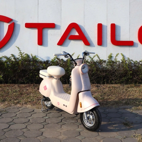 Xe đạp điện TAILG JS50