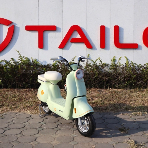Xe đạp điện TAILG JS50