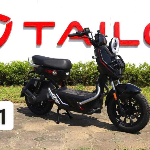 Xe đạp điện Tailg X51