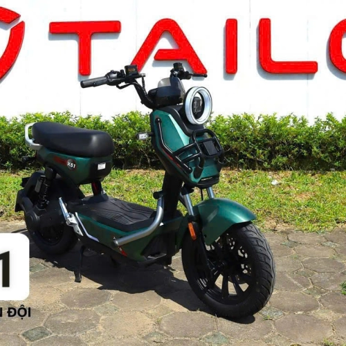 Xe đạp điện Tailg X51