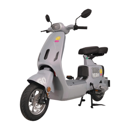 Xe đạp điện TAILG GR55