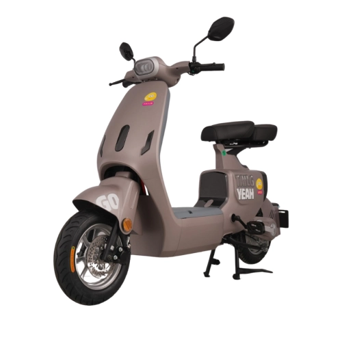 Xe đạp điện TAILG GR55