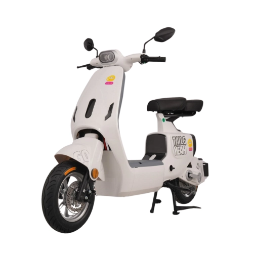 Xe đạp điện TAILG GR55