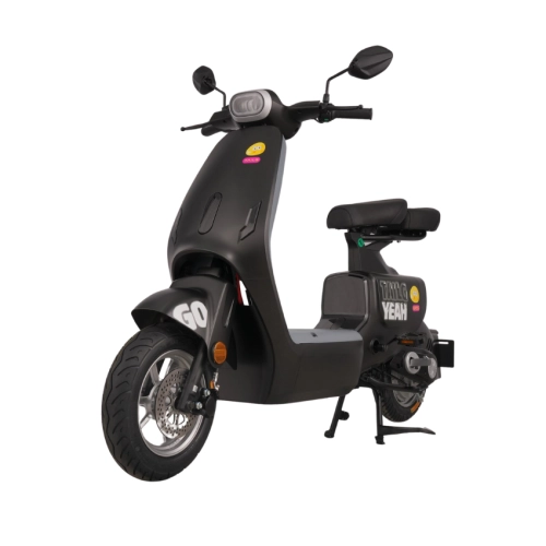 Xe đạp điện TAILG GR55