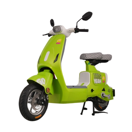 Xe đạp điện TAILG GR55