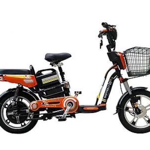 BOMELLI N16