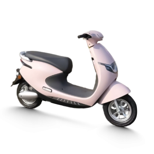 Xe máy điện TAILG R53