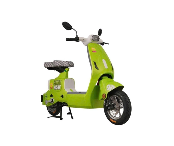 Xe đạp điện TAILG GR55