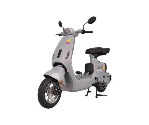 Xe đạp điện TAILG GR55