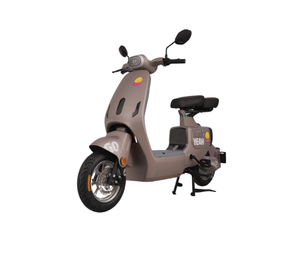 Xe đạp điện TAILG GR55