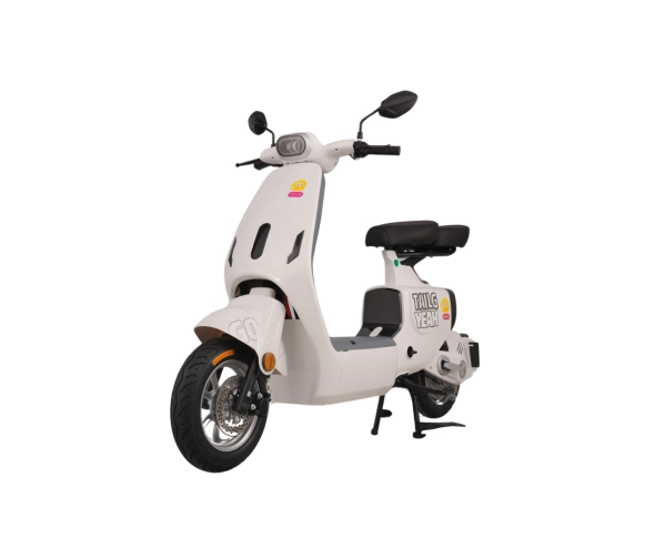 Xe đạp điện TAILG GR55