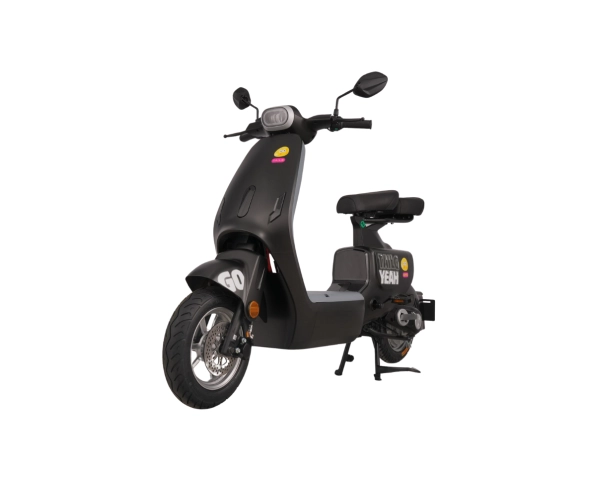 Xe đạp điện TAILG GR55