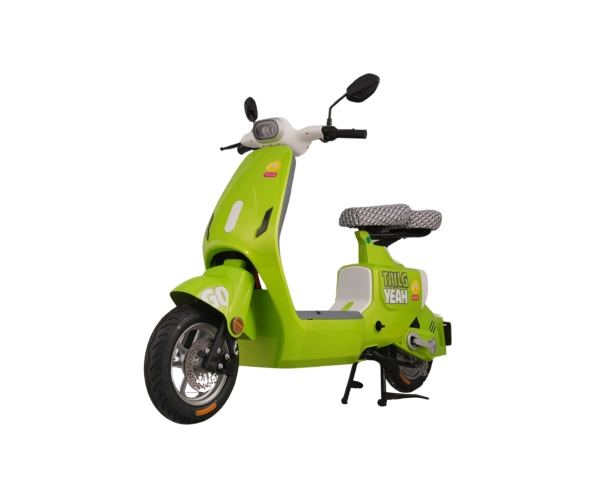 Xe đạp điện TAILG GR55